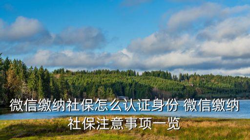 微信繳納社保怎么認證身份 微信繳納社保注意事項一覽