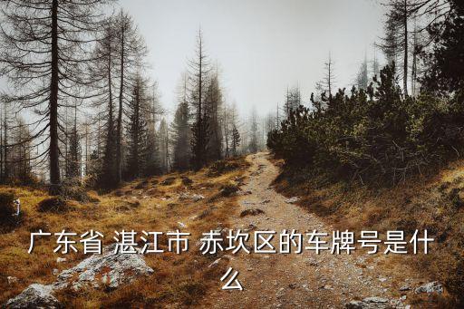 湛江赤坎,湛江市赤坎區(qū)隸屬于粵g市政府駐地