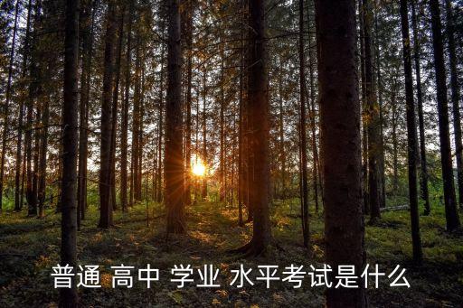 普通 高中 學業 水平考試是什么