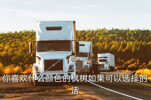 什么的楓樹，選擇量詞填空我們的村外有一什么楓樹林