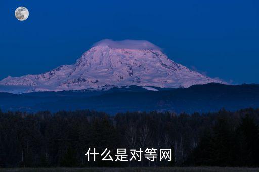 對等網，什么叫對等網