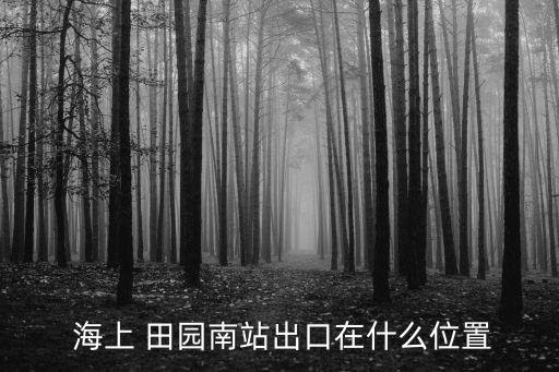  海上 田園南站出口在什么位置