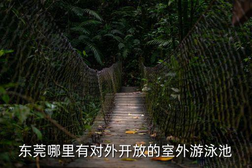 東莞哪里有對外開放的室外游泳池