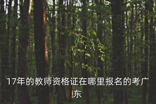 廣東東莞報名教資哪個城市最近，17年的教師資格證在哪里報名的考廣東