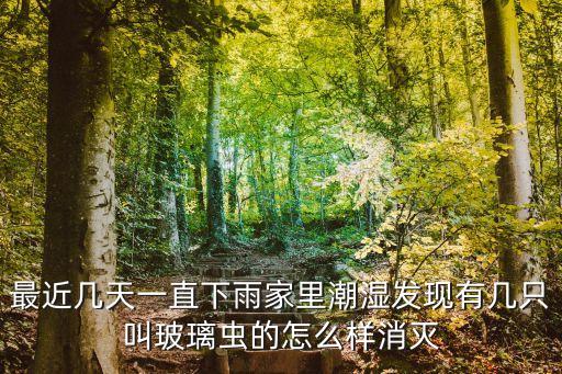 東莞連續下雨屋里出現的蟲子，這是什么蟲子 我家里一下雨就有