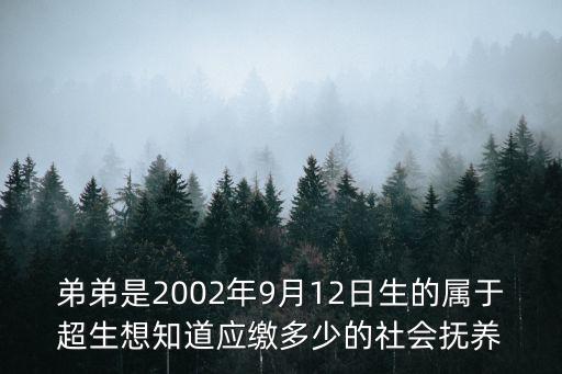 社會撫養費，弟弟是2002年9月12日生的屬于超生想知道應繳多少的社會撫養