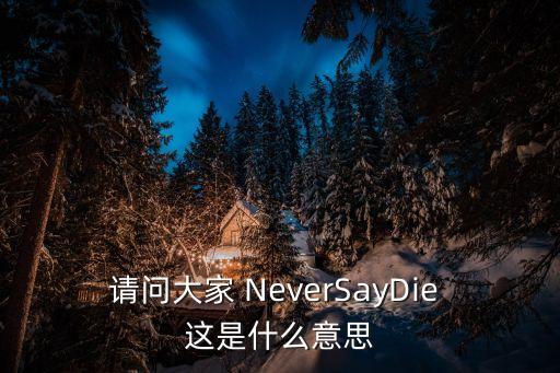 請問大家 NeverSayDie 這是什么意思