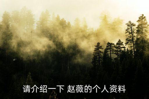 請介紹一下 趙薇的個人資料