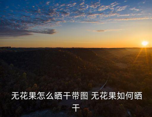  無花果怎么曬干帶圖 無花果如何曬干