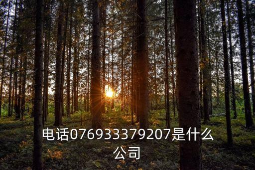 電話076933379207是什么公司