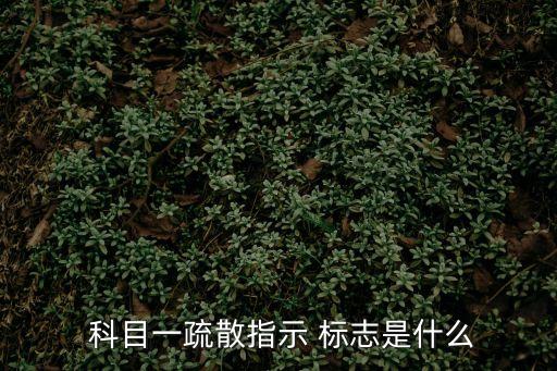 科目一標志,十個不可能!從左到右禁止這些東西!