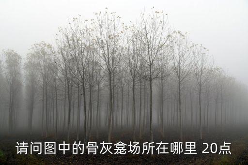 請問圖中的骨灰龕場所在哪里 20點