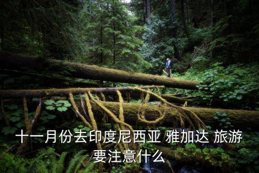 十一月份去印度尼西亞 雅加達 旅游要注意什么