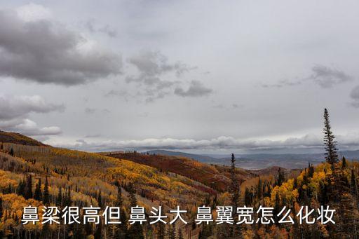 鼻頭大鼻翼寬,鼻子不夠高不能完全支撐軟組織俯臥在面部中央