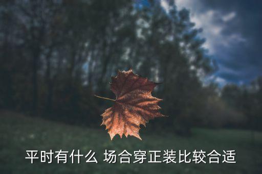 場合著裝,中國:正裝以西裝為主也可以穿中山裝