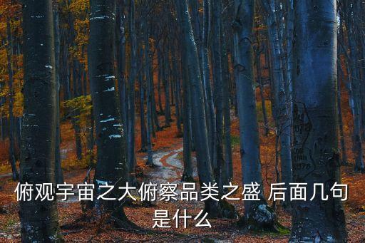 俯察品類之盛，仰宇宙觀之大俯察品類之盛的意思