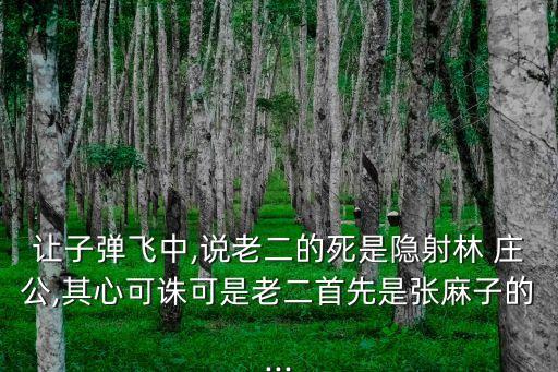 林莊公,老二、老二張麻子火車后看到了包打聽?