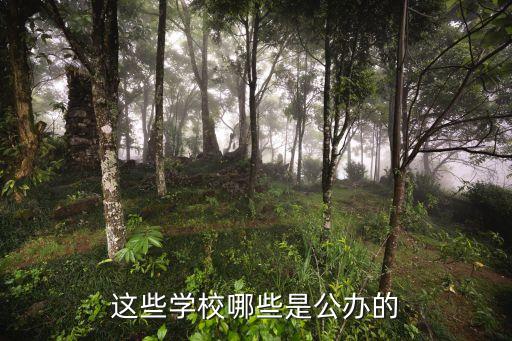 這些學(xué)校哪些是公辦的
