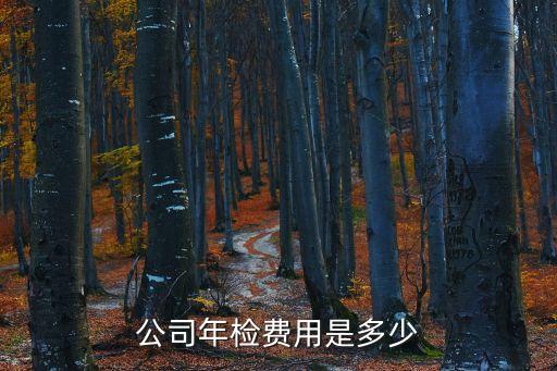 東莞公司年審費用，東莞公司出稅審報告多少錢