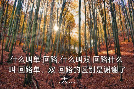 回路,電力系統實際傳輸路徑有兩個回路