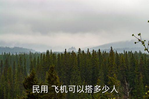  民用 飛機可以搭多少人