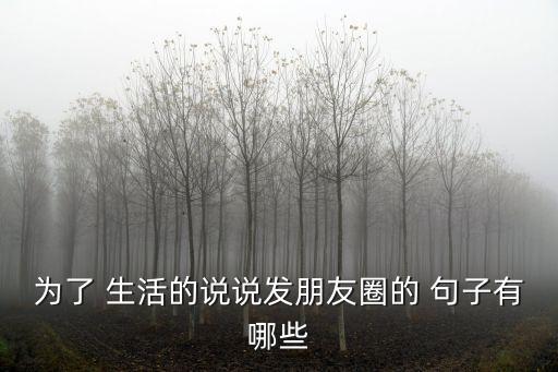 為了 生活的說說發(fā)朋友圈的 句子有哪些