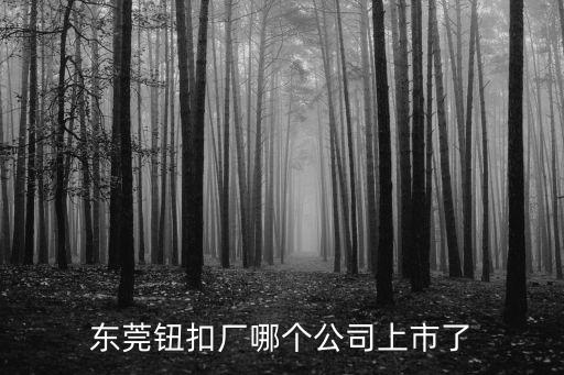 東莞鈕扣廠哪個(gè)公司上市了