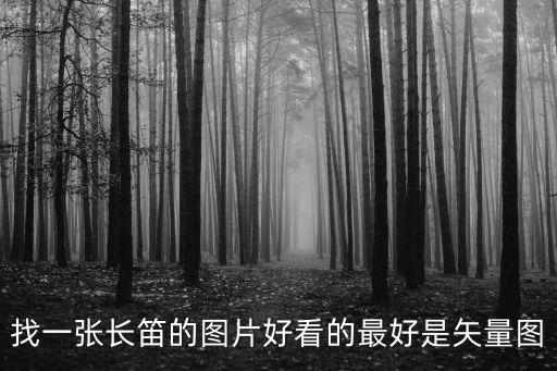笛子圖片，找一張長(zhǎng)笛的圖片好看的最好是矢量圖