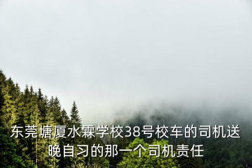 東莞塘廈水霖學校38號校車的司機送晚自習的那一個司機責任