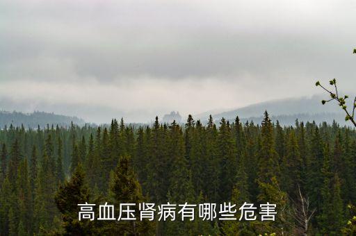 高血壓腎損害，高血壓腎病有哪些危害