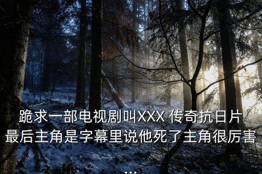 節振國傳奇,武功高強能克服困難節振國傳奇