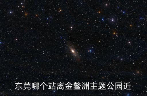 金鰲洲主題公園，東莞有什么公交車(chē)經(jīng)過(guò)金鰲洲主題公園