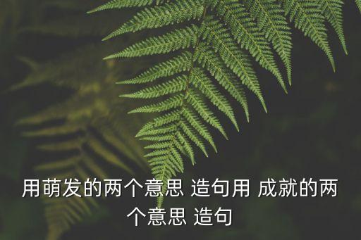 用萌發的兩個意思 造句用 成就的兩個意思 造句