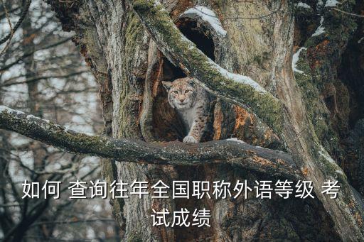 考試查詢,電工上崗證可在國(guó)家電監(jiān)會(huì)認(rèn)可的考試中心報(bào)名考試