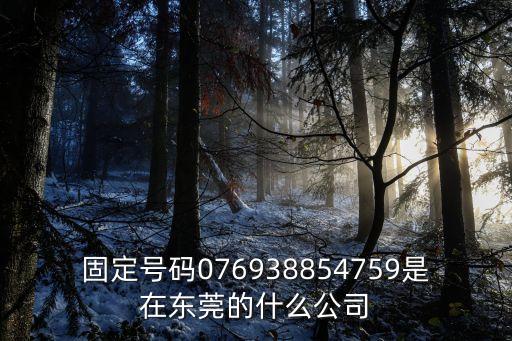 固定號碼076938854759是在東莞的什么公司
