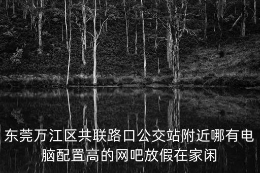 東莞萬江區共聯路口公交站附近哪有電腦配置高的網吧放假在家閑