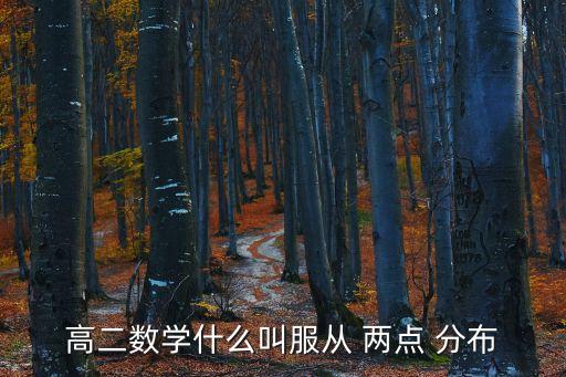 高二數(shù)學(xué)什么叫服從 兩點(diǎn) 分布
