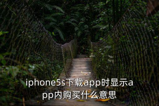 iphone5s下載app時顯示app內購買什么意思