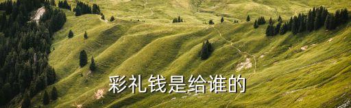彩禮錢,彩禮錢作為新娘陪嫁?法律分析:數額不同習俗差異