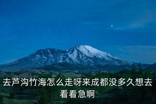 去蘆溝竹海怎么走呀來成都沒多久想去看看急啊