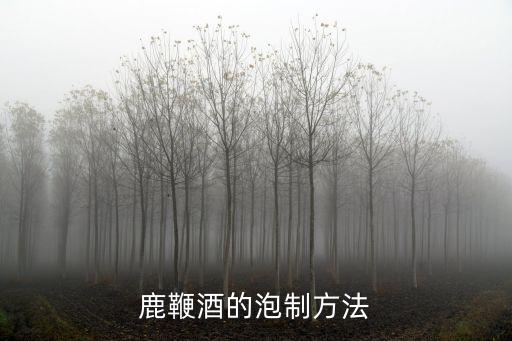 鹿鞭酒的泡制方法