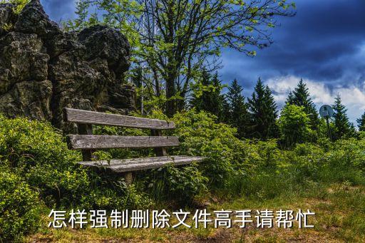 強制刪除，怎樣強制刪除文件高手請幫忙