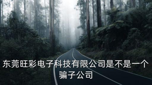 東莞旺彩電子科技有限公司是不是一個騙子公司