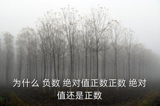 為什么 負數 絕對值正數正數 絕對值還是正數