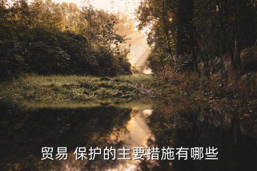  貿易 保護的主要措施有哪些