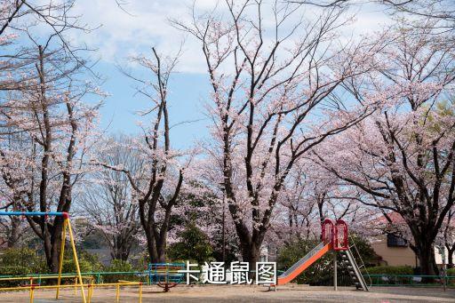 卡通鼠圖