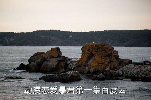 愛的暴君，我愛的人是個(gè)暴君想過離開可是又舍不得怎么辦才好