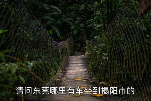 請問東莞哪里有車坐到揭陽市的