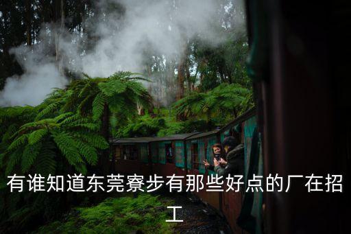 東莞寮步菱一精工怎么樣，有誰知道東莞寮步有那些好點(diǎn)的廠在招工