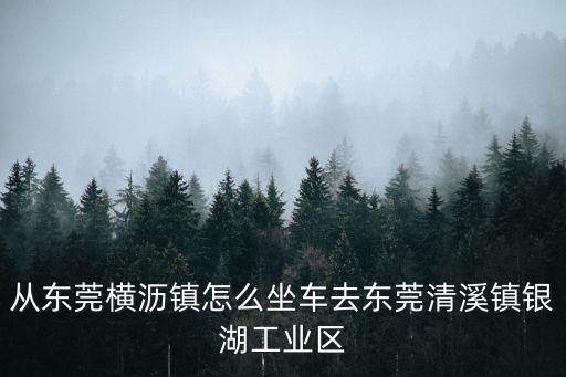 從東莞橫瀝鎮(zhèn)怎么坐車去東莞清溪鎮(zhèn)銀湖工業(yè)區(qū)